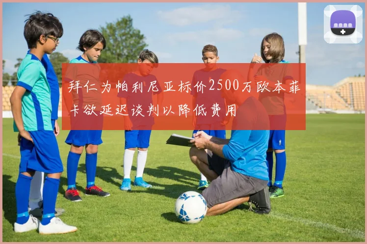 拜仁为帕利尼亚标价2500万欧本菲卡欲延迟谈判以降低费用