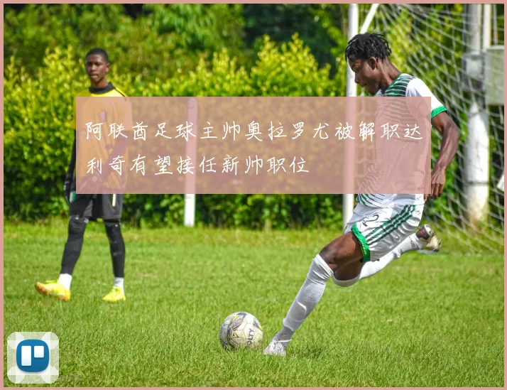 阿联酋足球主帅奥拉罗尤被解职达利奇有望接任新帅职位